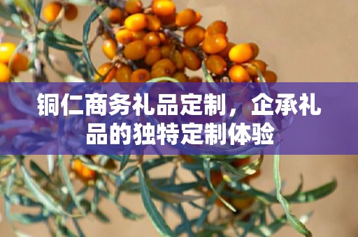 铜仁商务礼品定制，企承礼品的独特定制体验