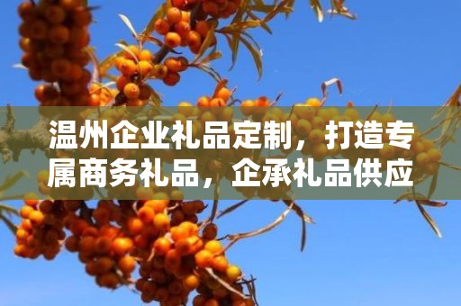 温州企业礼品定制，打造专属商务礼品，企承礼品供应链助力企业福利升级