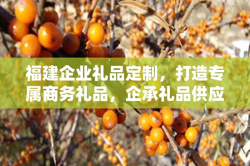 福建企业礼品定制，打造专属商务礼品，企承礼品供应链助力企业发展