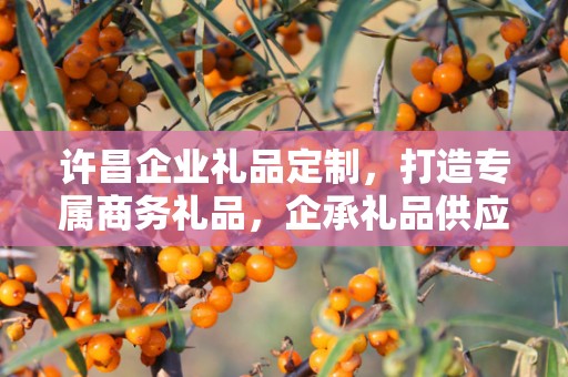 许昌企业礼品定制，打造专属商务礼品，企承礼品供应链助力企业发展