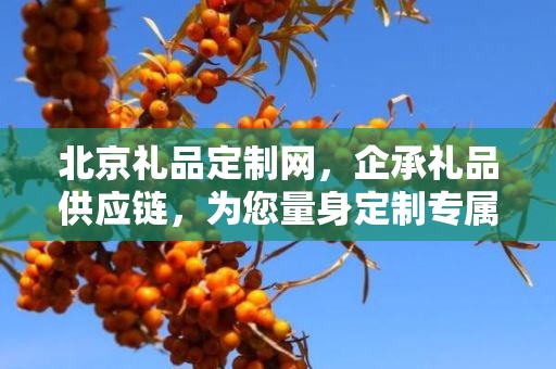 北京礼品定制网，企承礼品供应链，为您量身定制专属礼品