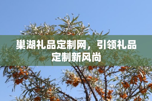 巢湖礼品定制网，引领礼品定制新风尚