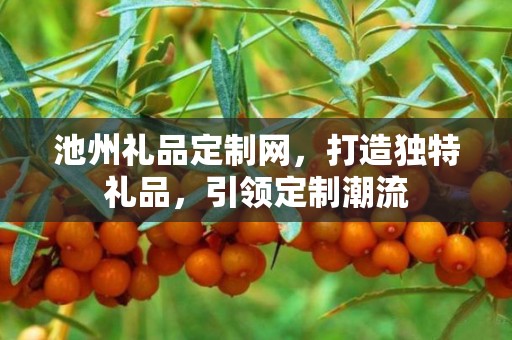 池州礼品定制网，打造独特礼品，引领定制潮流