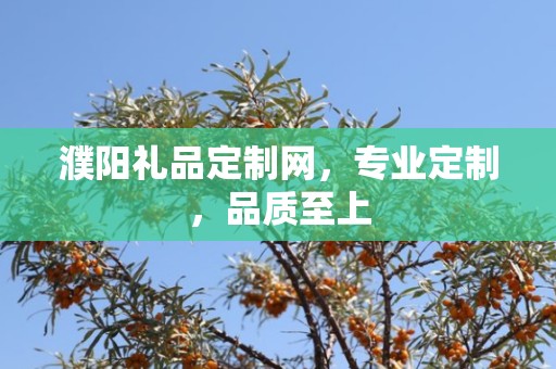 濮阳礼品定制网，专业定制，品质至上