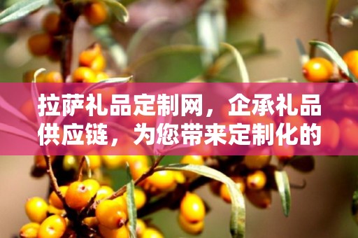 拉萨礼品定制网，企承礼品供应链，为您带来定制化的独特体验