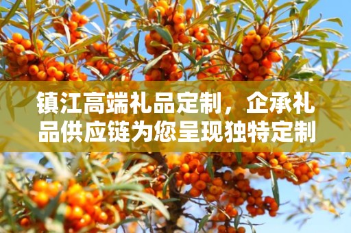 镇江高端礼品定制，企承礼品供应链为您呈现独特定制体验