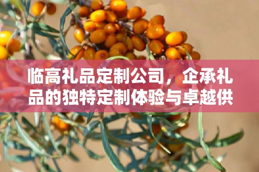 临高礼品定制公司，企承礼品的独特定制体验与卓越供应链优势