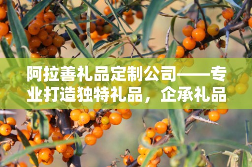 阿拉善礼品定制公司——专业打造独特礼品，企承礼品供应链卓越服务
