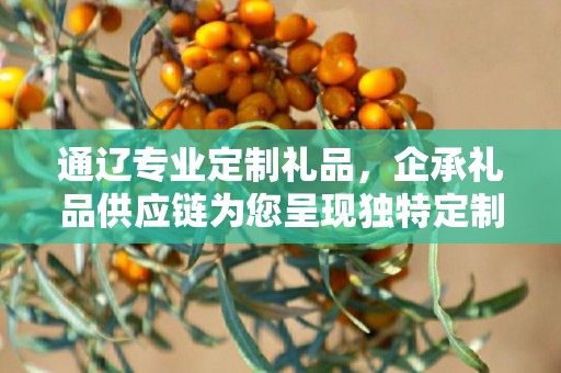 通辽专业定制礼品，企承礼品供应链为您呈现独特定制体验