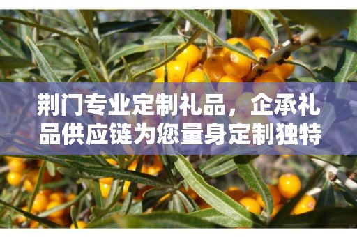 荆门专业定制礼品，企承礼品供应链为您量身定制独特礼品
