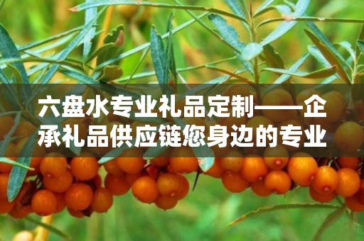 六盘水专业礼品定制——企承礼品供应链您身边的专业礼品定制公司