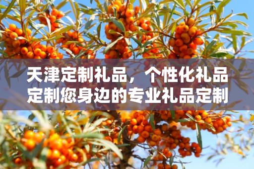 天津定制礼品，个性化礼品定制您身边的专业礼品定制公司
