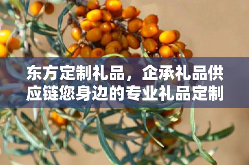 东方定制礼品，企承礼品供应链您身边的专业礼品定制公司