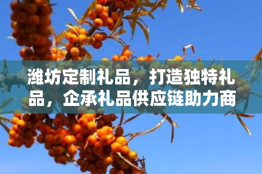 潍坊定制礼品，打造独特礼品，企承礼品供应链助力商务推广