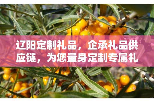 辽阳定制礼品，企承礼品供应链，为您量身定制专属礼品