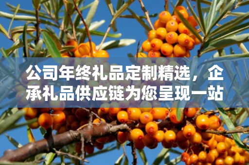 公司年终礼品定制精选，企承礼品供应链为您呈现一站式服务
