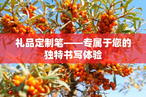 礼品定制笔——专属于您的独特书写体验