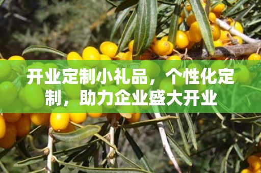 开业定制小礼品，个性化定制，助力企业盛大开业
