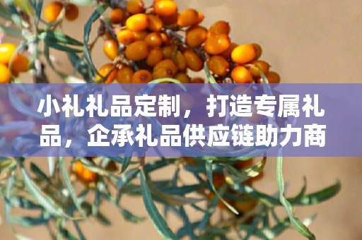 小礼礼品定制，打造专属礼品，企承礼品供应链助力商务往来