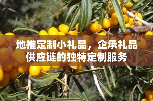 定制公司周年庆礼品，企承礼品供应链您身边的专业礼品定制公司