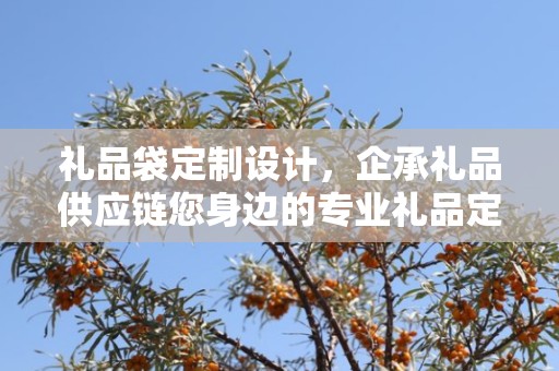礼品袋定制设计，企承礼品供应链您身边的专业礼品定制公司