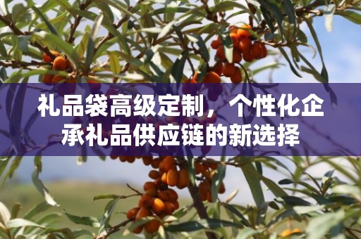 礼品袋高级定制，个性化企承礼品供应链的新选择