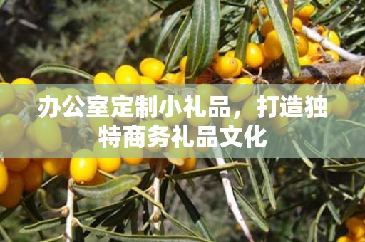 办公室定制小礼品，打造独特商务礼品文化