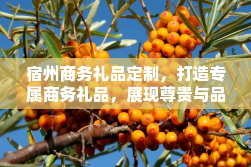 宿州商务礼品定制，打造专属商务礼品，展现尊贵与品味