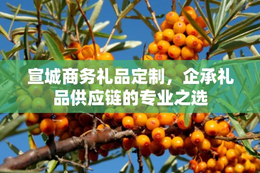 宣城商务礼品定制，企承礼品供应链商务礼品定制公司