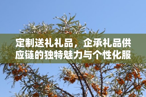 定制送礼礼品，企承礼品供应链的独特魅力与个性化服务