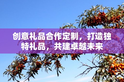 创意礼品合作定制，打造独特礼品，共建卓越未来