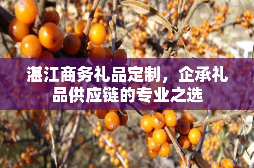 湛江商务礼品定制，企承礼品供应链的专业公司