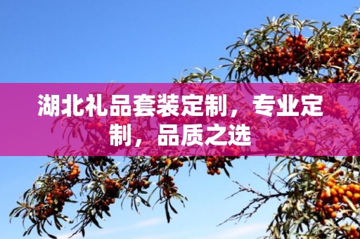 湖北礼品套装定制，专业定制，品质之选