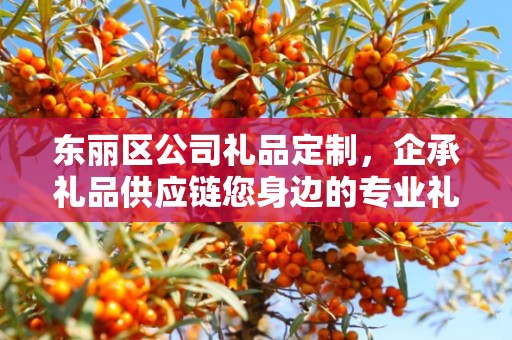 东丽区公司礼品定制，企承礼品供应链您身边的专业礼品定制公司
