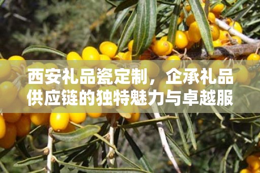 西安礼品瓷定制，企承礼品供应链的独特魅力与卓越服务