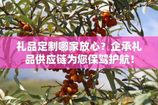 礼品定制哪家放心？企承礼品供应链为您保驾护航！