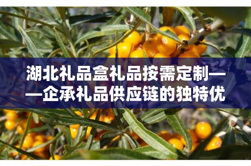 湖北礼品盒礼品按需定制——企承礼品供应链的独特优势