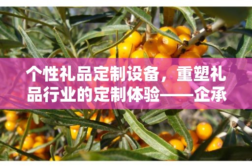 个性礼品定制设备，重塑礼品行业的定制体验——企承礼品供应链公司引领创新之路