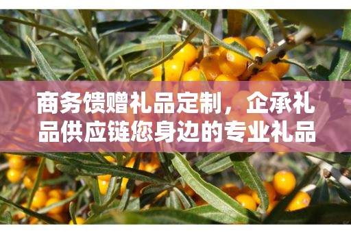 商务馈赠礼品定制，企承礼品供应链您身边的专业礼品定制公司