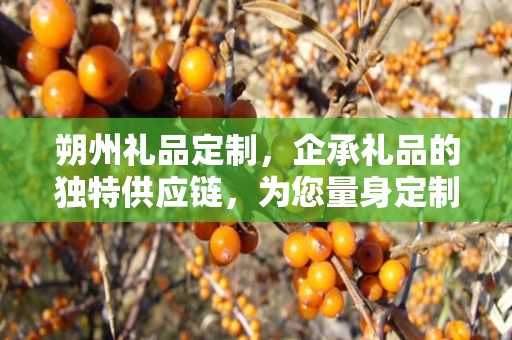朔州礼品定制，企承礼品的独特供应链，为您量身定制专属礼品